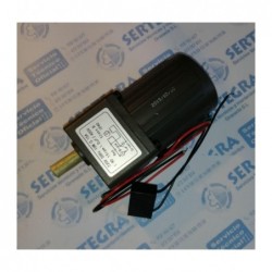 MOTOR 10 W TRANSMISION 1/90...